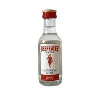 Beefeater Gin (1 x 0.05 L)