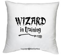 BeeGeeTees Wizard in Training Funny Magical 18" x 18" Zippered Pillow Cover