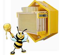 Beehive Indoor Wall-Mounted Beekeeping House with Collection Box for Harvesting Natural Honey and Managing Bee Colonies