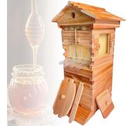 Beehive Starter Kit for Beginners, Complete Beekeeping Set with Viewing Window & Honey Spout, Easy-to-Use Bee Boxes for Hobbyist Apiarists