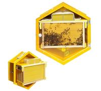 Beehive Starter Kit, Hexagon Observation Hive with Acrylic Window, 3 Frames & Trays for Indoor Garden Beekeeping