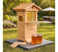 Beehive Starter Kit with 4 Frames & 6 Honeycomb Trays, Complete Bee Hive Boxes for Easy Beekeeping, Beginner Beekeepers