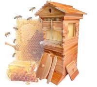 Beekeeping Kit with Self-Flow Honey Hive and 4 Wooden Frames - Complete Equipment for Garden Pollinators and Honey Production Essentials