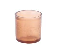 Beekeeping Queen Rearing Cell Cups 1000pcs Apiculture System for Beekeepers Professional Beehive Accessories Plastic Beekeeping Tools