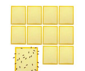 Beekeeping Tools, Simplify Colony Control, 51x42cm, Bee Excluder, Separating Bees From Honey, Honey Purity Assurance, For Beekeeper Women Men Adults Home Indoor Outdoor Farm