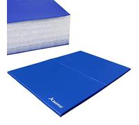 BEEMAT Gymnastic Mat [SELECT YOUR SIZE] (6ft x 4ft x 1inch (Lightweight))