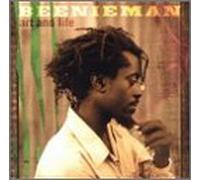 Beenie Man - Art & Life