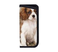 BEEOFICEPENG Glasses Case,Anti-Scratch Spectacles Sleeve Portable Eyewear Case Sunglasses Case,Cavalier King Charles Spaniel Small Puppies