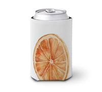 Beer Can Cooler Sleeve,Watercolor Dried Citrus Rustic Cottage Kitchen Can Cover Beer Cooler Soft Insulated Beverage Holder for Party Beach Event Home