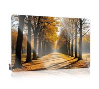 Beer Decorations For Man Cave A Tree-Lined Path Bathed In Autumn Sunlight. Tin Sign Coffee Sign Decor Metal Signs For Home Bar(20X30CM)