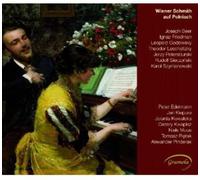 Beer / Friedman / Godowsky / Lesc – Wiener Schmäh auf Polnisch – CD – Naxos (US import)
