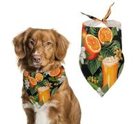 Beer Hawaiian Orange Dog Bandana Puppy Cat Scarfs Bibs Washable Triangle Kerchief Pet Gifts