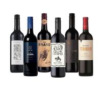 Beerhunter Malbec Red Wine Gift Set - 6 Bottle Selection 750ml | Perfect Wine Gift for Him or Her | Malbec Wine Mixed Case