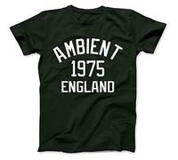 Bees Knees Tees Ambient Music 1975 T-Shirt