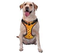 Bees On Hive Honeycomb Pattern Dog Harness - Lightweight,Soft,Adjustable Small Harness and Leash Set, Suitable for Puppy Small and Medium-Sized Dog-Medium