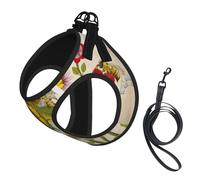 Bees Sunflowers Daisy Rose Flowers Printing Dog Summer Harness With Leash Set,Adjustable And Reflective Step-In Puppy Pet Vest Harnesses