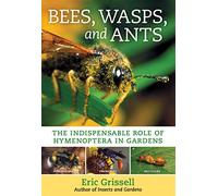 Bees, Wasps, and Ants: The Indispensable Role of Hymenoptera in Gardens