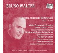 Beethoven - Bruno Walter in Europe - The Early Studio Recordings, Vol.1