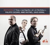 Gastinel, Anne - Beethoven: Trios, 'les Esprits' Et 'a L'archiduc'