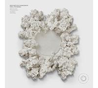 Beethoven, L.V. / Schmidt / Stephan - Petrenko Conducts the Berlin Philharmonic [VINYL]