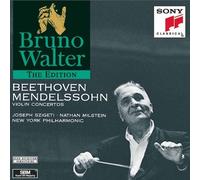 Beethoven - Concerto Violin (2)