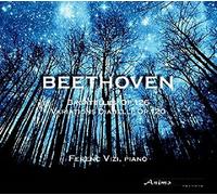 Beethoven Variations Diabelli opus 120, 6 bagatelles opus 126 by Ferenc Vizi (2014-08-12j