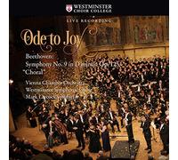 BEETHOVEN/VIENNA CHAMBER ORCHESTRA - Ode to Joy: Beethoven Symphony No. 9 in D minor, Op. 125 Choral