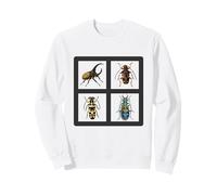 Beetle Illustration Collection Beautiful Beetles Sweatshirt