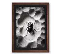 Beetle on Alien Terrain Surrealism Framed Wall Art Print A2 (59.4×42cm) Walnut, Wall Decor for Living Room, Bedroom, Office & Home, Ready to Hang, Art Gift