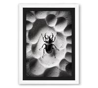 Beetle on Alien Terrain Surrealism Framed Wall Art Print A2 (59.4×42cm) White, Wall Decor for Living Room, Bedroom, Office & Home, Ready to Hang, Art Gift