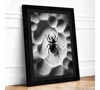 Beetle on Alien Terrain Surrealism Framed Wall Art Print A2 Black | Ready to Hang, Premium Gi Paper, Fade-Resistant Inks, Securely Packaged, UK Made