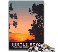 Beetle Rock 2000 Piece Jigsaw Puzzles for Teenagers Gifts, Educational Stress Relief Toy for Is Ideal As A Gift for The Whole Family 2000pcs(70x100cm)