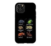 Beetle Species Insects Lover Kids Biology Ground Beetle Case for iPhone 11 Pro