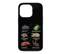 Beetle Species Insects Lover Kids Biology Ground Beetle Case for iPhone 13 Pro