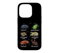 Beetle Species Insects Lover Kids Biology Ground Beetle Case for iPhone 14 Pro