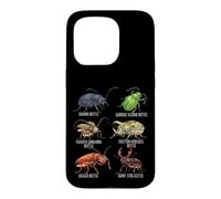 Beetle Species Insects Lover Kids Biology Ground Beetle Case for iPhone 15 Pro