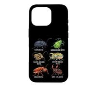 Beetle Species Insects Lover Kids Biology Ground Beetle Case for iPhone 16 Pro