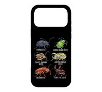 Beetle Species Insects Lover Kids Biology Ground Beetle Case for iPhone 17 Pro Max