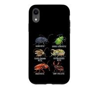 Beetle Species Insects Lover Kids Biology Ground Beetle Case for iPhone XR