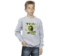 Beetlejuice Boys Nightmare Material Sweatshirt Sport Grey 3-4 Years