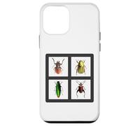 Beetles Four Beetle Insects Case for iPhone 12 mini