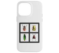 Beetles Four Beetle Insects Case for iPhone 14 Pro Max