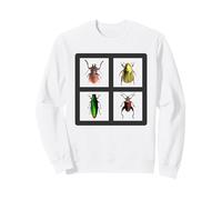 Beetles Four Beetle Insects Sweatshirt