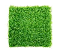 Beetoo Fairy Artificial Garden Grass Lawn, Miniature Ornament Garden Dollhouse DIY Faux Grass, 6 x 6 Inches (4 Pack)