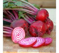 Beetroot Chioggia Seeds Heirloom Variety With Bullseye Pattern & Mild Sweet Roots 1 Packet X 300 Seeds By Thompson & Morgan