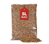 Beewarm Calciworms 5L bag for Wild Birds, Dried Calci worms for Garden Birds, Black Soldier Fly Larvae, Premium Bird Food Calciworms for Blackbirds