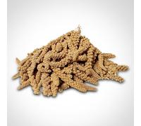 Beewarm Premium Garden Wild Bird Food - 250g Millet Spray for Birds - High Energy, Budgie Millet (250g)