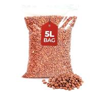 Beewarm Premium Wild Bird Food 5L Bag - Peanuts Whole for Garden Birds - High Energy, No Mess Bird Feed (5L, Peanuts Whole)