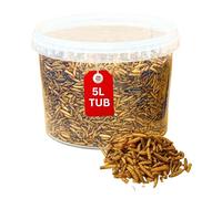 Beewarm Premium Wild Bird Food - Calci Worms for Birds - High Energy, No Mess Bird Feed (5L Tub, Calci Worms)