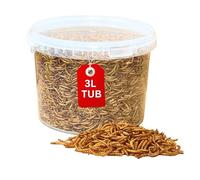 Beewarm Premium Wild Bird Food - Calci Worms for Garden Birds - High Energy, No Mess Bird Feed (3L Tub, Calci Worms)